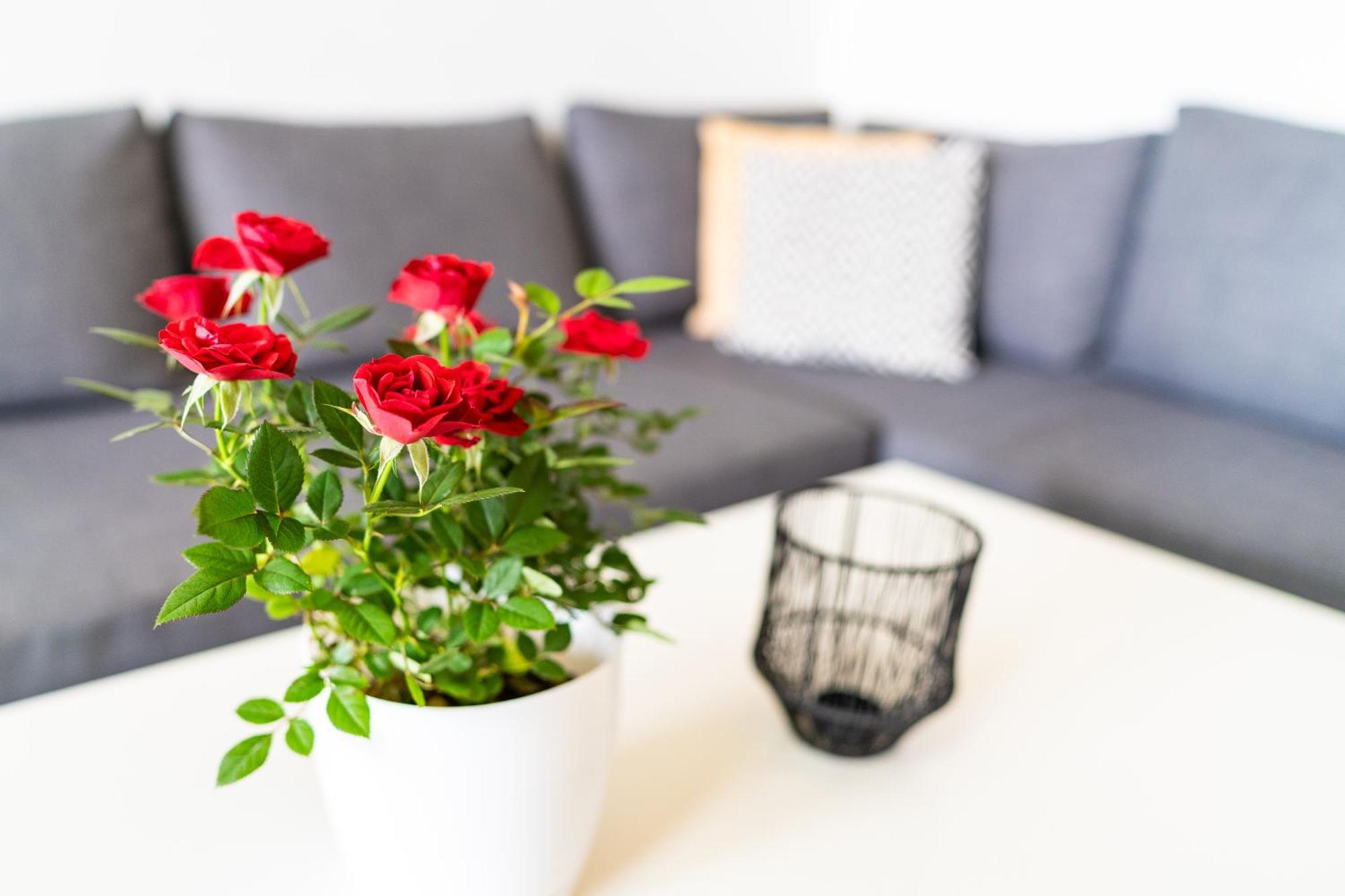 Sweet Rooms Bubesheim 外观 照片